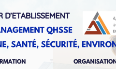 Fiche EME QHSSEc1